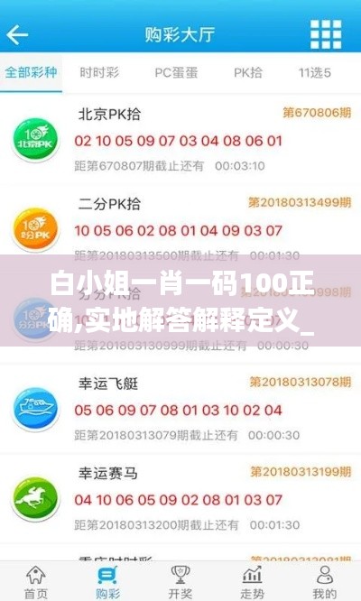 白小姐一肖一码100正确,实地解答解释定义_AP7.905