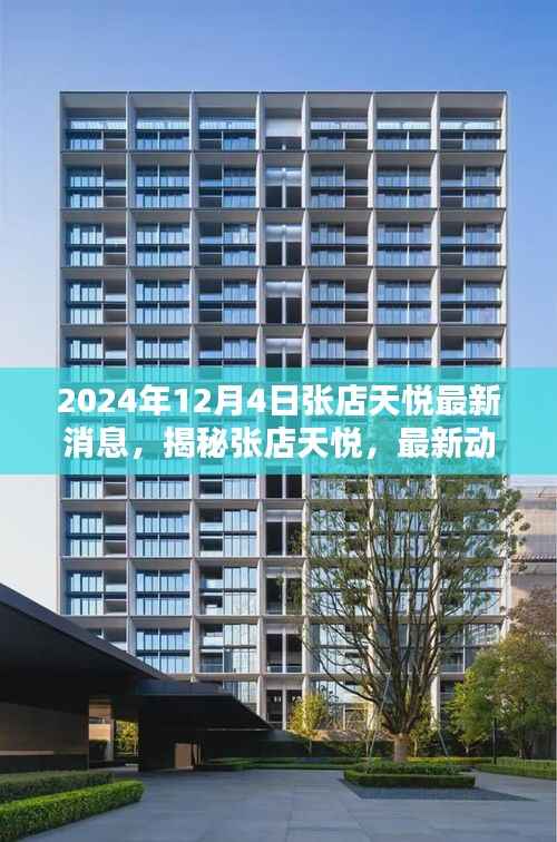揭秘张店天悦,最新动态与独家报道(2024年12月4日更新)