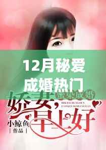 12月热恋之旅,秘境探婚与甜蜜章节一览