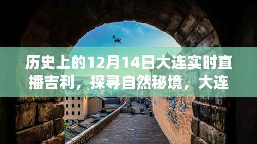 探寻自然秘境,大连吉利直播之旅启程寻找内心的宁静与乐趣——历史上的直播时刻(12月14日)