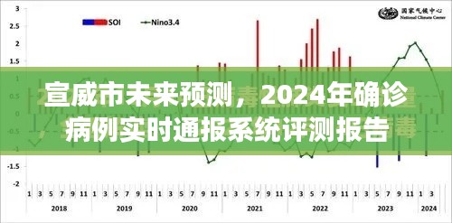 宣威市未来预测及实时通报系统评测报告,2024年确诊病例动态分析展望