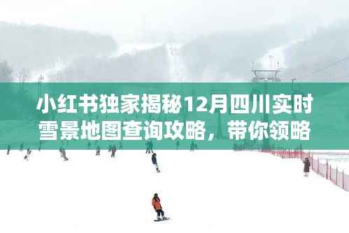 小红书独家指南,12月四川实时雪景地图查询攻略,冰雪奇缘风光尽收眼底