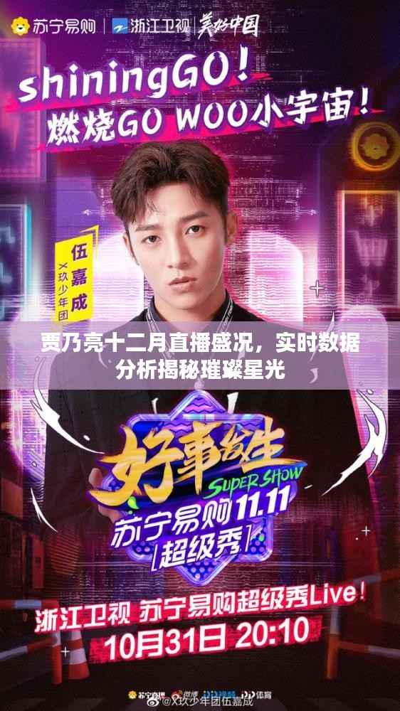 贾乃亮十二月直播盛况揭秘,璀璨星光与实时数据解析
