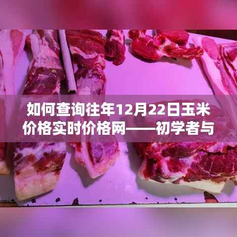 如何查询往年12月22日玉米价格实时数据——初学者与进阶用户指南
