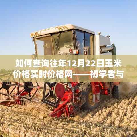 如何查询往年12月22日玉米价格实时数据——初学者与进阶用户指南
