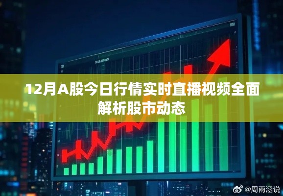 12月A股行情解析,实时直播视频全面解读股市动态