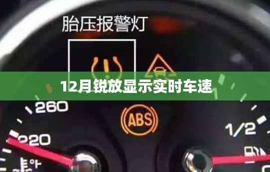 锐放实时车速显示功能介绍