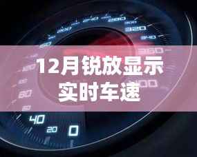 锐放实时车速显示功能介绍