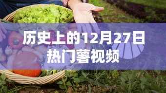 热门薯视频回顾,历史上的十二月二十七日