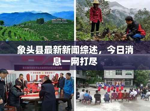 象头县最新新闻综述,今日消息一网打尽
