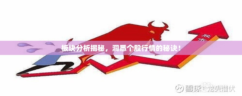 板块分析揭秘,洞悉个股行情的秘诀!