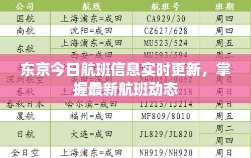 东京今日航班信息实时更新,掌握最新航班动态