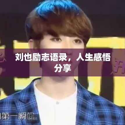 刘也励志语录,人生感悟分享