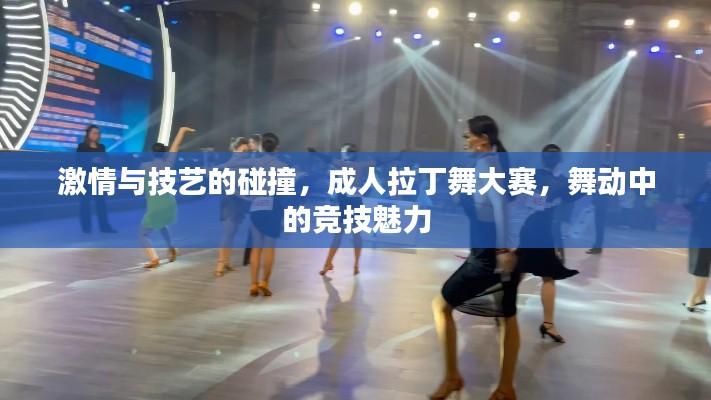 激情与技艺的碰撞,成人拉丁舞大赛,舞动中的竞技魅力