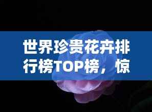 世界珍贵花卉排行榜TOP榜,惊艳你的视觉盛宴!