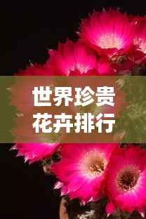 世界珍贵花卉排行榜TOP榜,惊艳你的视觉盛宴!