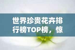 世界珍贵花卉排行榜TOP榜,惊艳你的视觉盛宴!