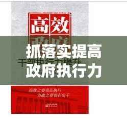 抓落实提高政府执行力,提升政策执行力