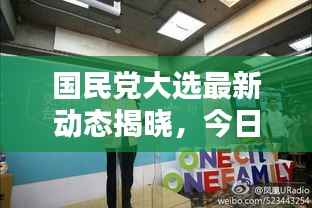 国民党大选最新动态揭晓,今日选举结果揭晓!
